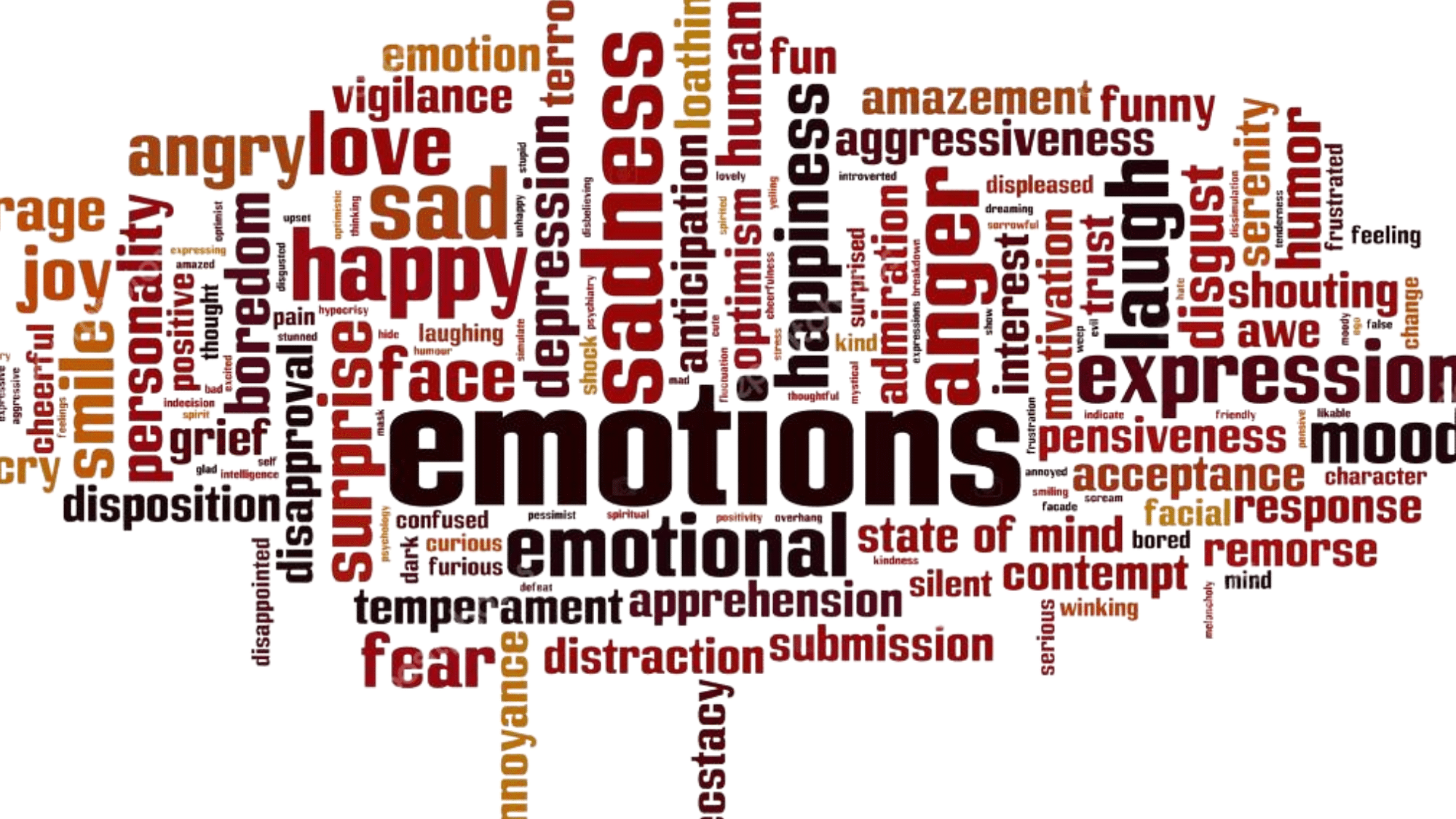 EMOTIONS_The_Immediate_Reactions