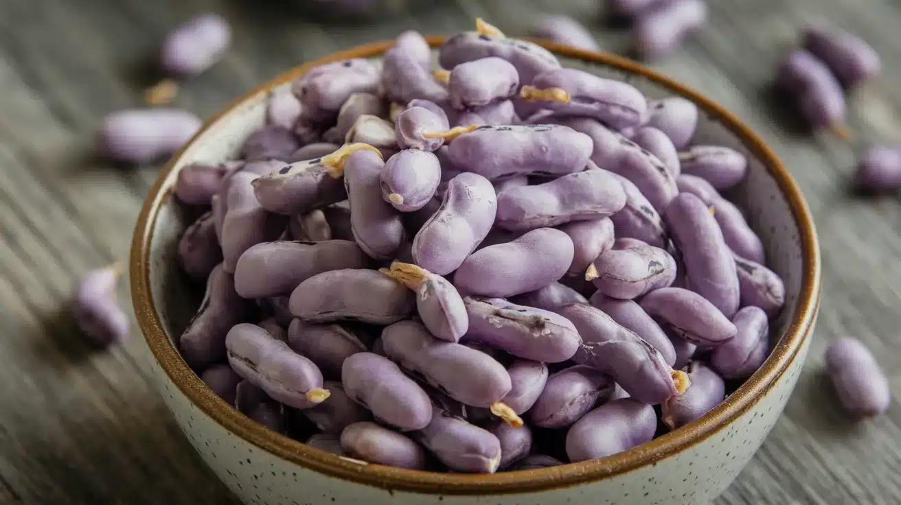 Lavender_Beans