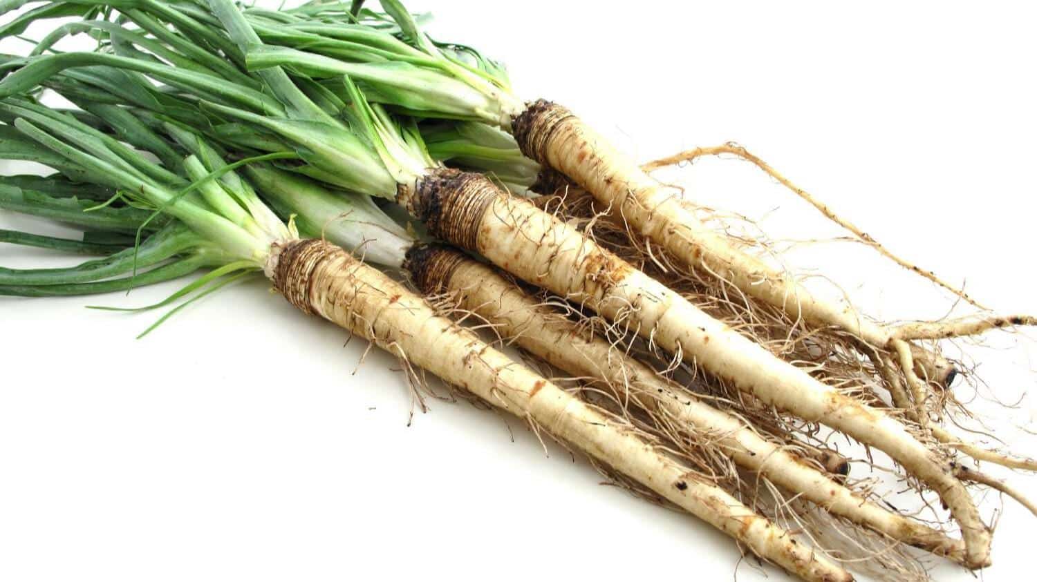 Salsify