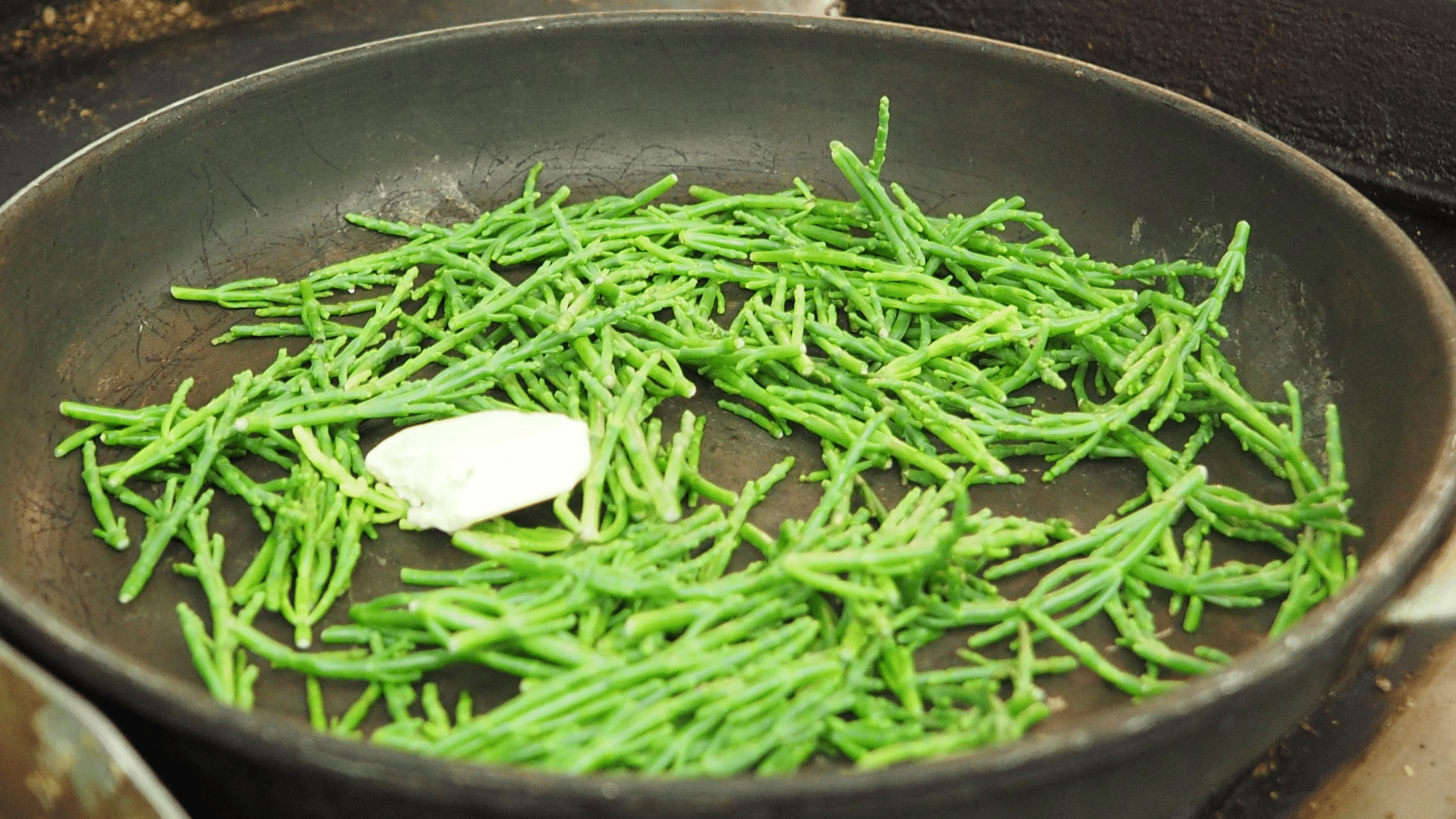 Samphire