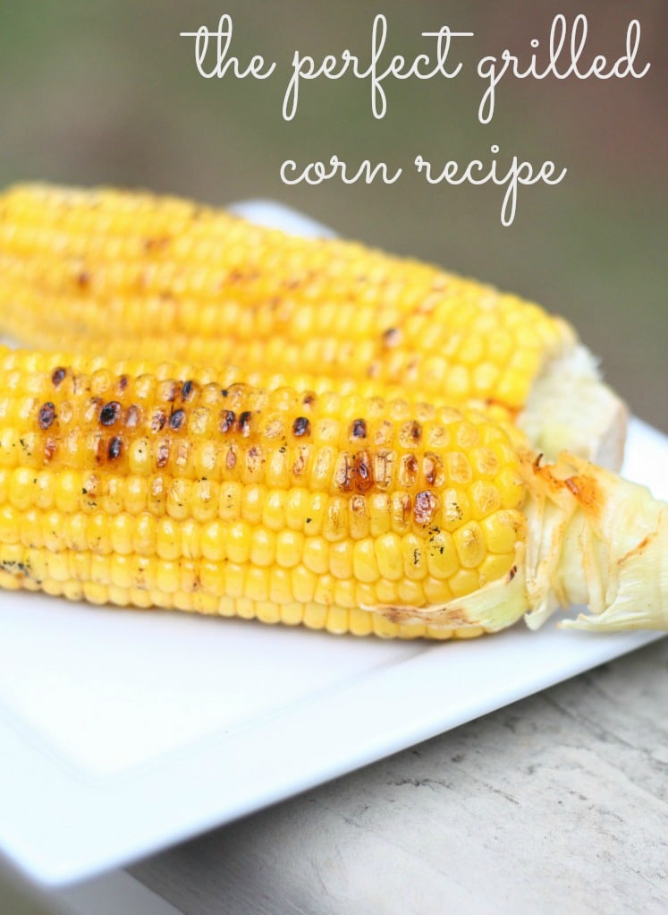 This grilled corn recipe is packed with flavor! This is the perfect side dish for those summer bbq parties. Make sure to give this grilled corn recipe a try!