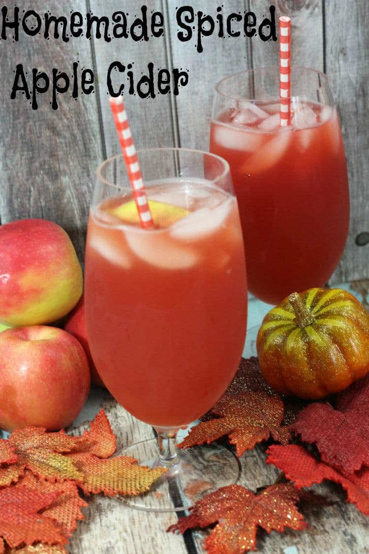 Nothing says fall like the house smelling like homemade spiced apple cider. This apple cider recipe is so delicious and so easy to make.