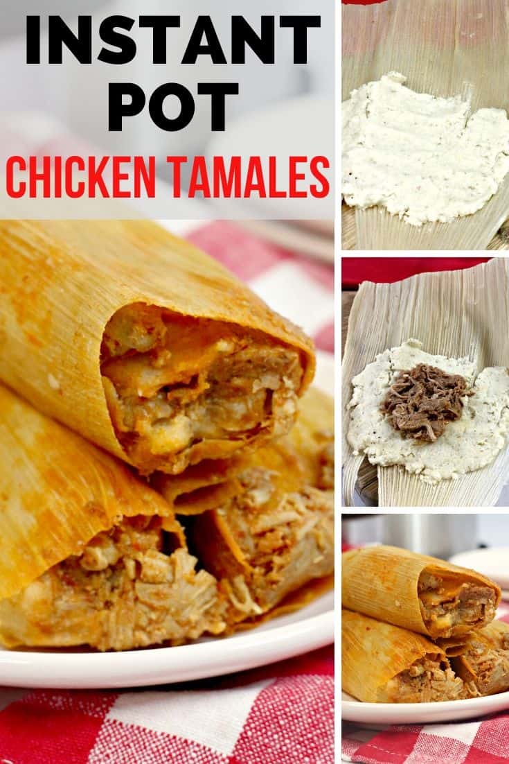 https://theclassychapter.com/wp-content/uploads/2020/02/instant-pot-chicken-tamales-1.jpg