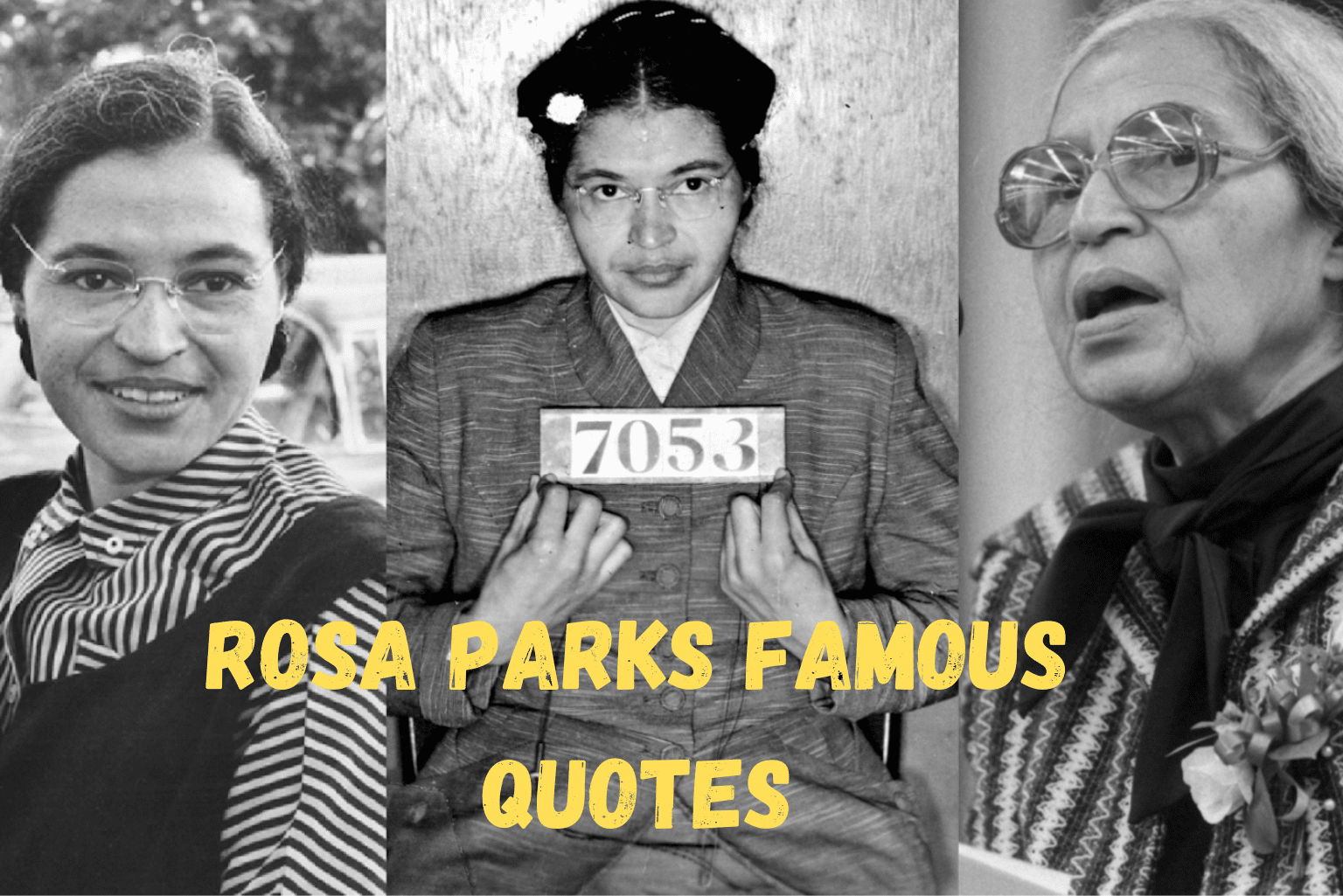 105 Rosa Parks Famous Quotes