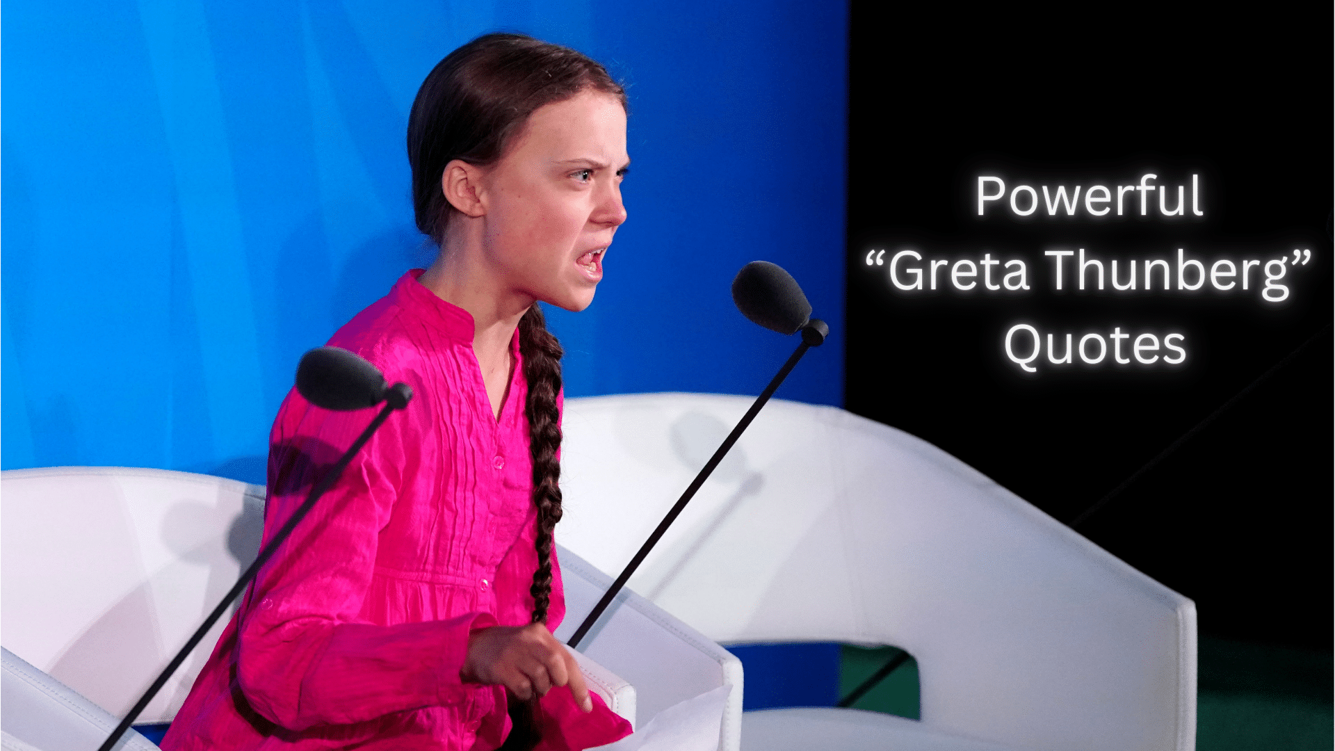 35 Greta Thunberg Quotes for Climate Change Awareness