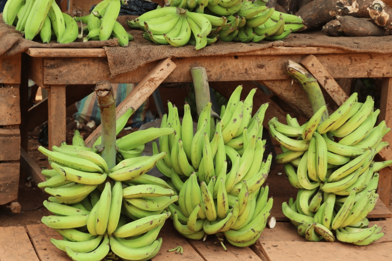 Angola_Banana