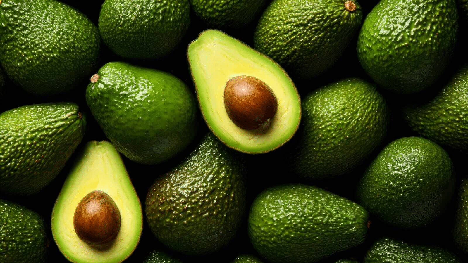 Avocado