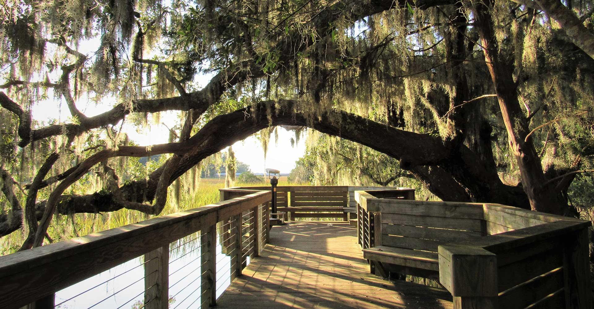 Coastal_Discovery_Museum_at_Honey_Horn