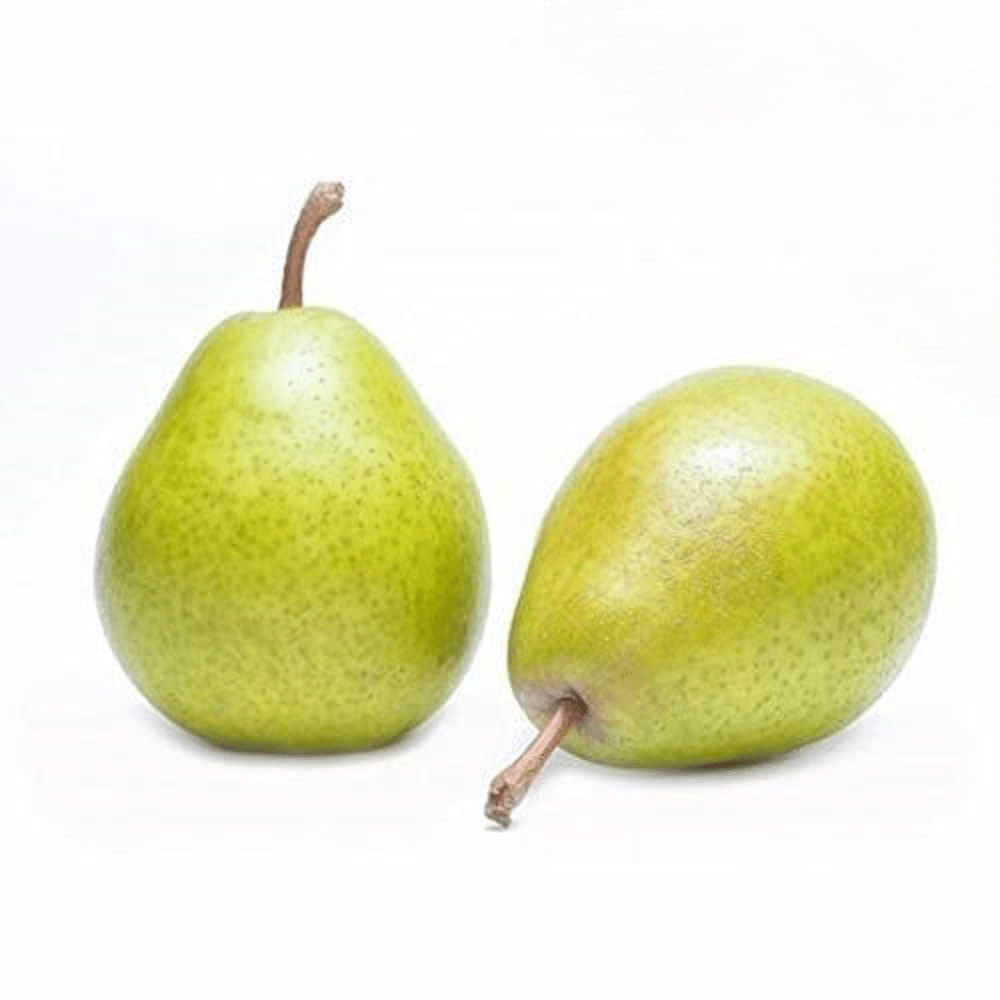 Indian_Pear_Nashpati