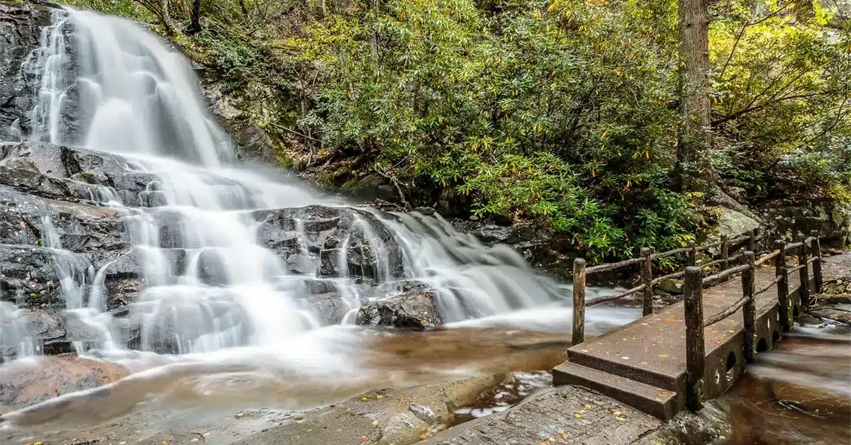 Laurel_Falls_Trail