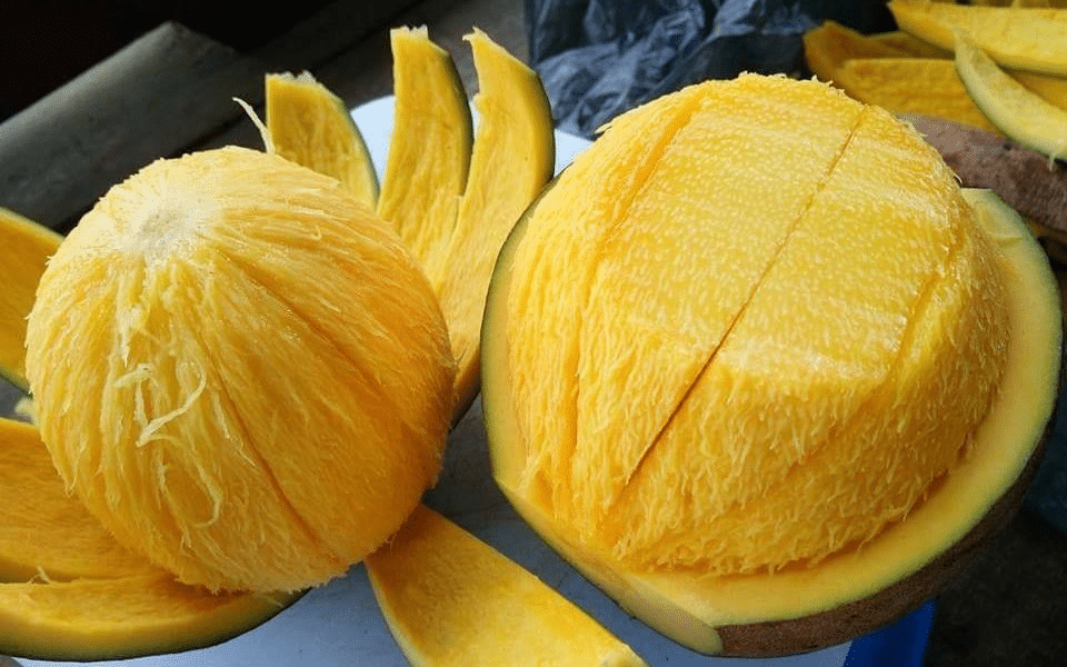 Mangifera_Pajang