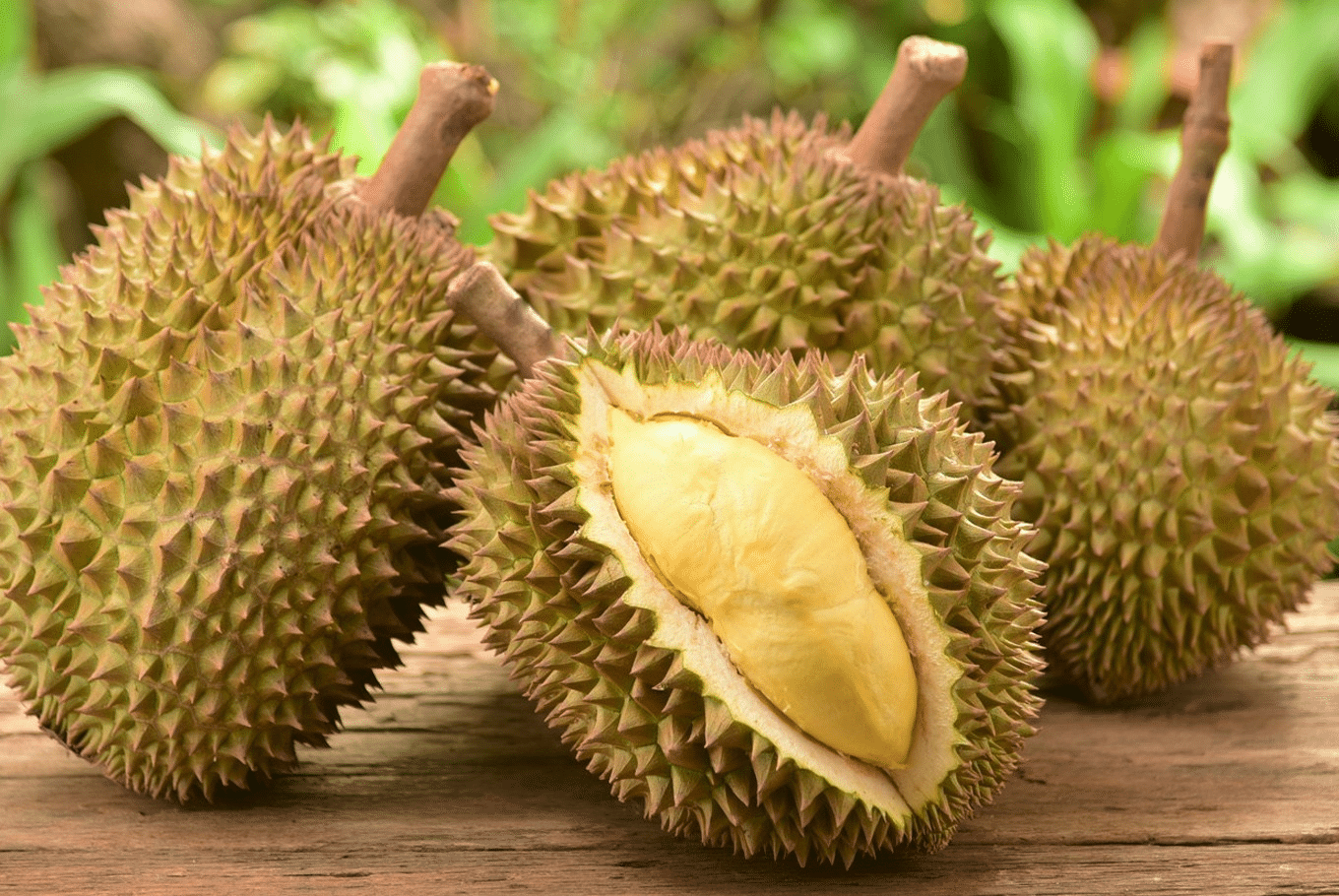 Medan_Durian