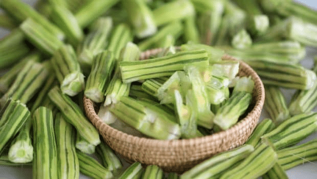 Moringa_Pods_Drumstick_Tree_Fruit