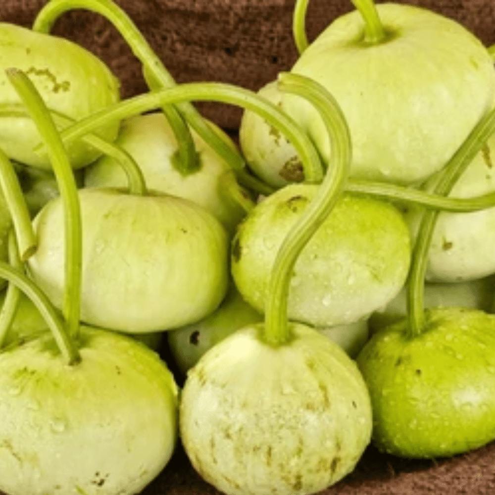 Round_Gourd_Fruit