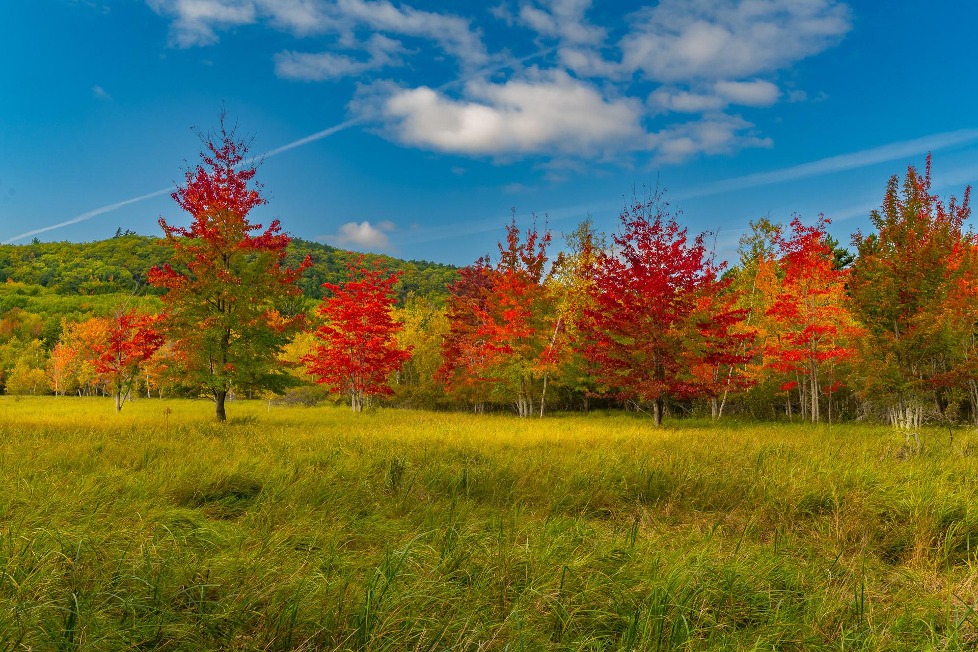 Sieur_de_Monts_Spring_Nature_Center