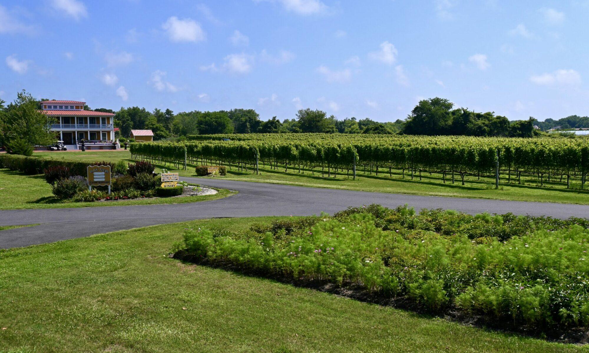 Willow_Creek_Winery