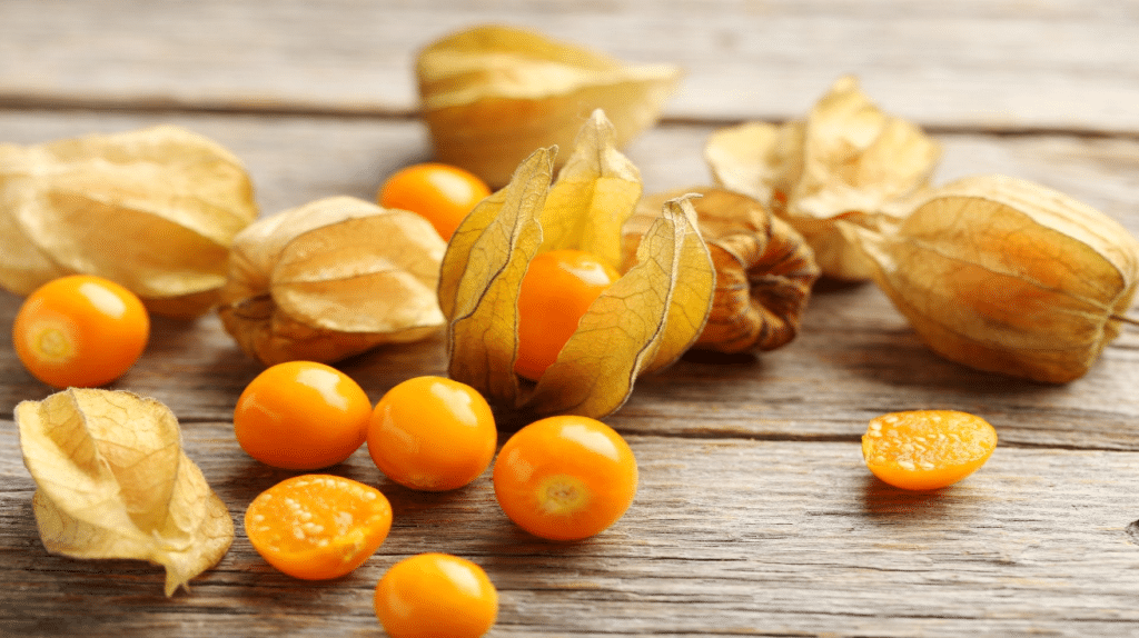 Cape Gooseberry