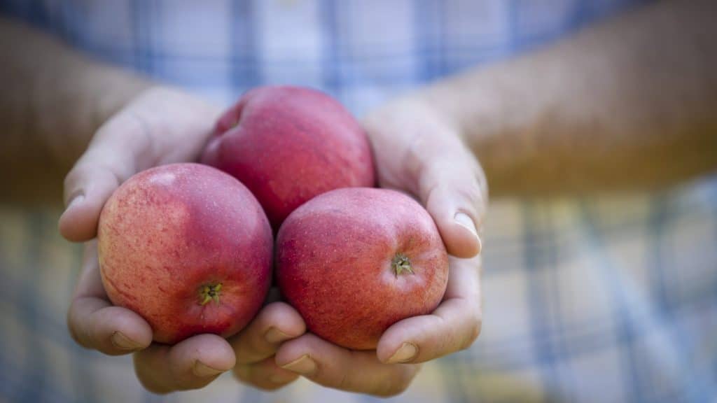 Flavonoid-rich Apple