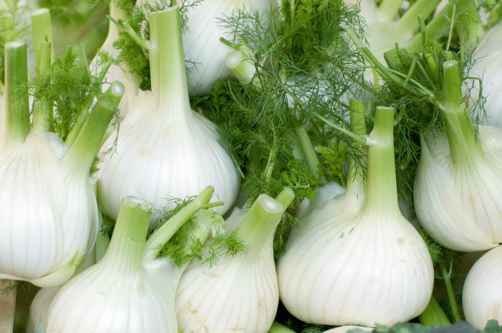 fennel